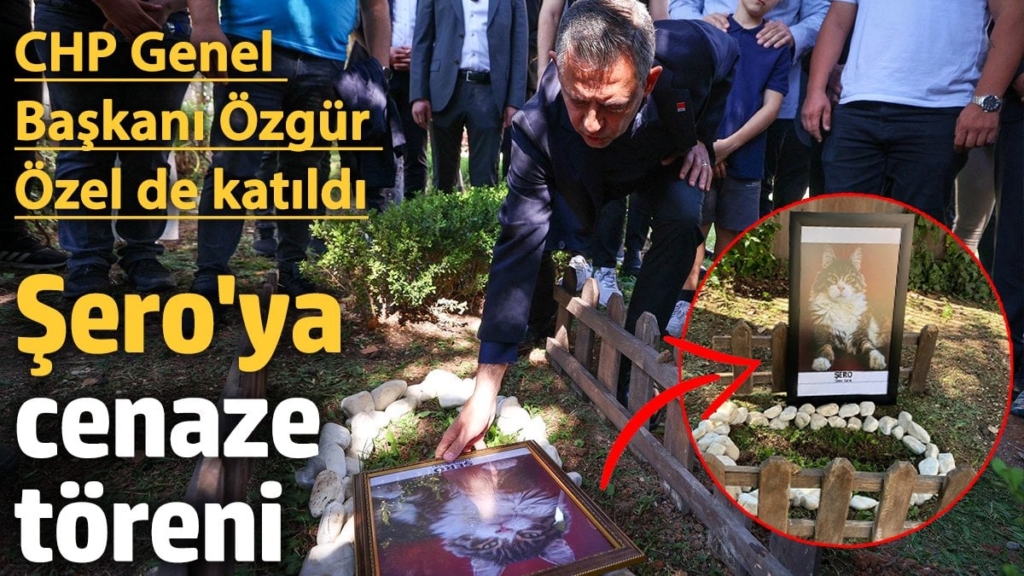 CHP'nin kedisi 'Şero' defnedildi. Törene CHP Genel Başkanı Özgür Özel de katıldı