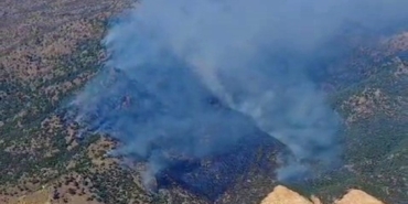 Manisa’nın Alaşehir ilçesinde orman yangını. 29 Eylül 2024