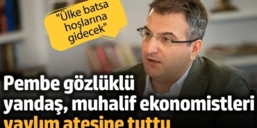 Pembe gözlüklü yandaş muhalif ekonomistleri yaylım ateşine tuttu: Ülke batsa hoşlarına gidecek