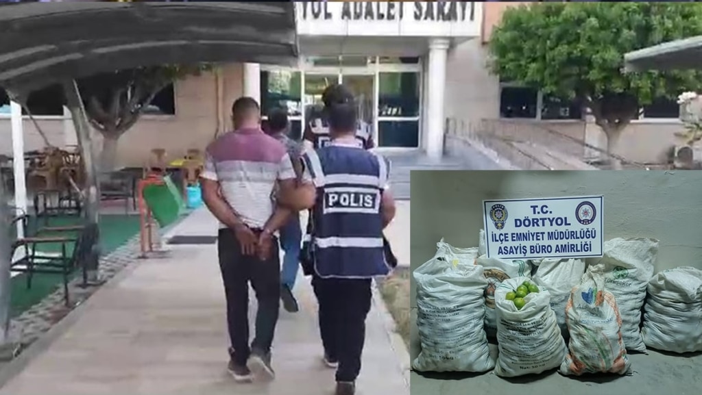 Mandalina çalan 2 kişi tutuklandı