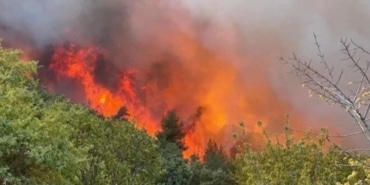 Bursa'da ormanlık alan alev alev yandı