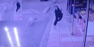 Can havliyle markete sığındı!