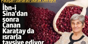 Sumak: Doğanın Mucizesi ve Sağlığınıza Faydaları!