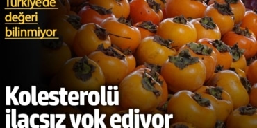 Uzun Ömrün Sırrı: Trabzon Hurmasının Faydaları