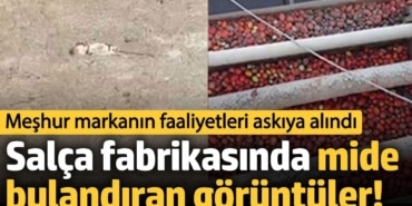 Tehlikeli Üretim: Hijyen Denetimleri Sıkılaştırıldı