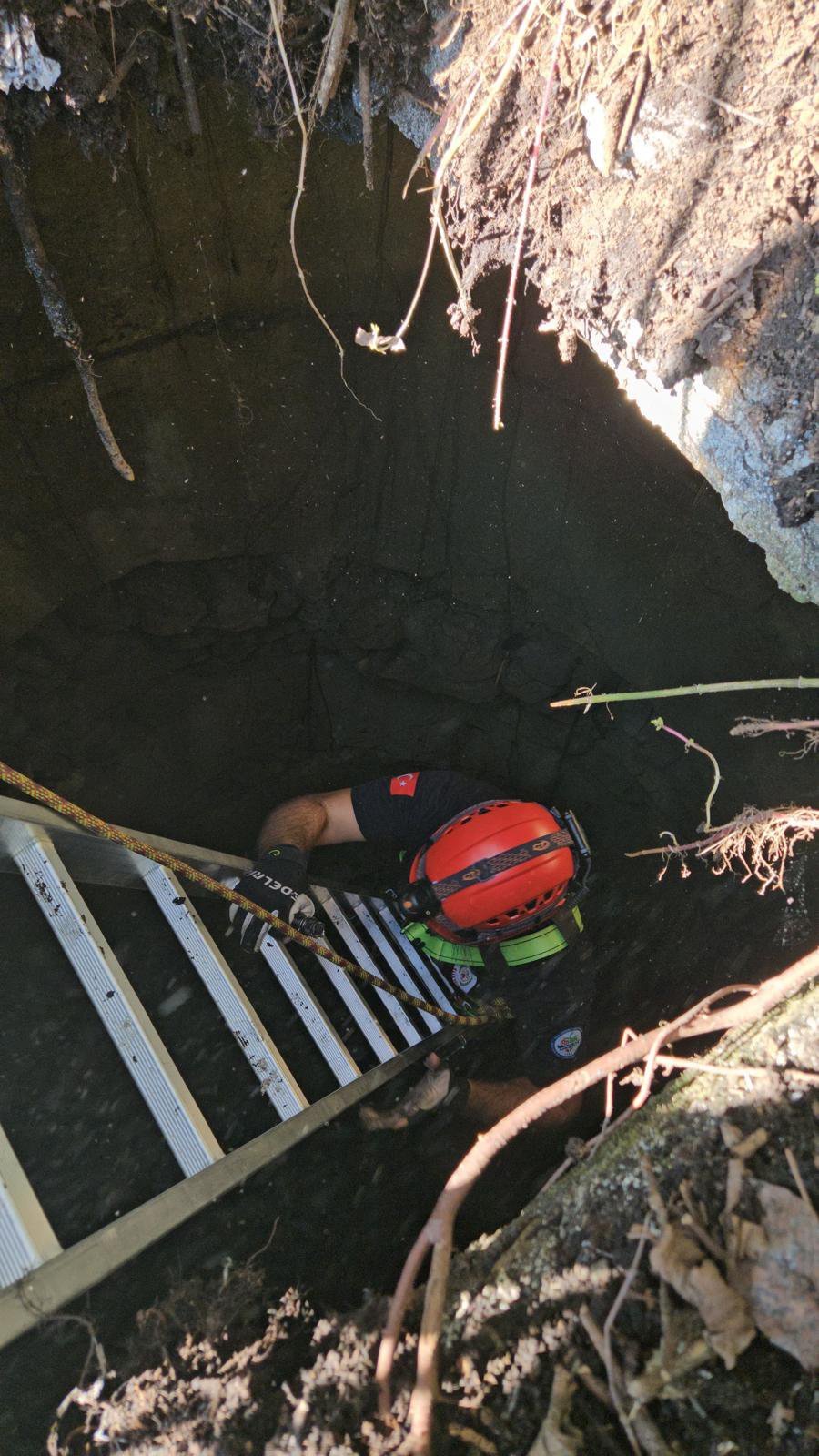 1728409359 258 Koydeki Su Kuyusuna Dusen Kedi Itfaiye Tarafindan Kurtarildi Kedi kurtarma anı