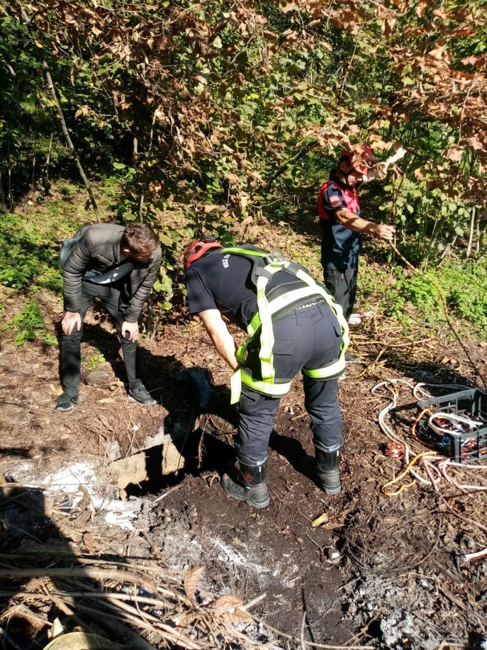 1728409359 690 Koydeki Su Kuyusuna Dusen Kedi Itfaiye Tarafindan Kurtarildi Kedi kurtarma anı