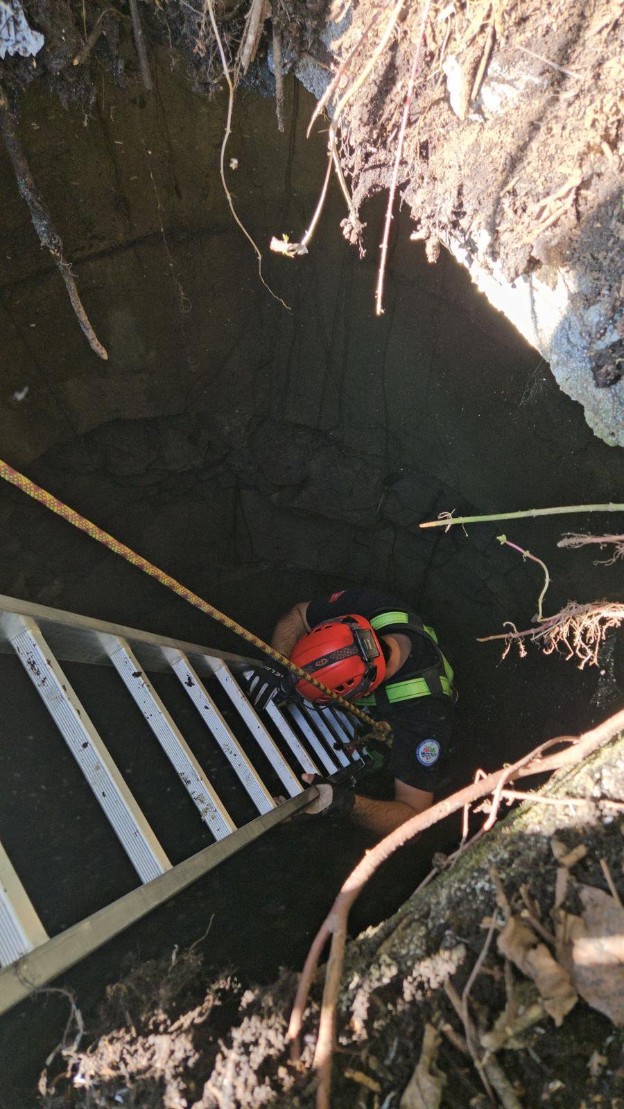 1728409359 974 Koydeki Su Kuyusuna Dusen Kedi Itfaiye Tarafindan Kurtarildi Kedi kurtarma anı