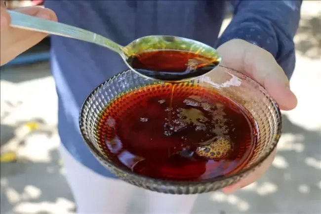 1729235864 315 Pekmezi Guclendiren Sir Zencefil.webp 670a13954b741637164caf71.webp