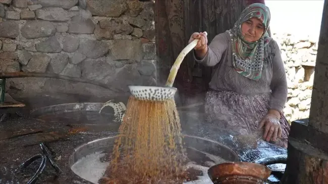 1729235864 499 Pekmezi Guclendiren Sir Zencefil.webp 670a13964b741637164caf73.webp