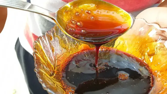 1729235864 684 Pekmezi Guclendiren Sir Zencefil.webp 670a13964b741637164caf77.webp