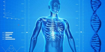 Osteoporoz: Sessiz Tehlike ve Korunma Yöntemleri