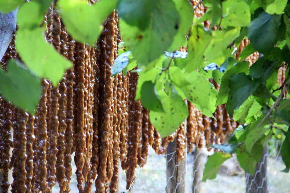 1729844581 711 Kisin Sifa Kaynagi Dogal Cevizli Sucuk Kış aylarının vazgeçilmezi! Doğal malzemelerle üretiliyor adeta şifa deposu