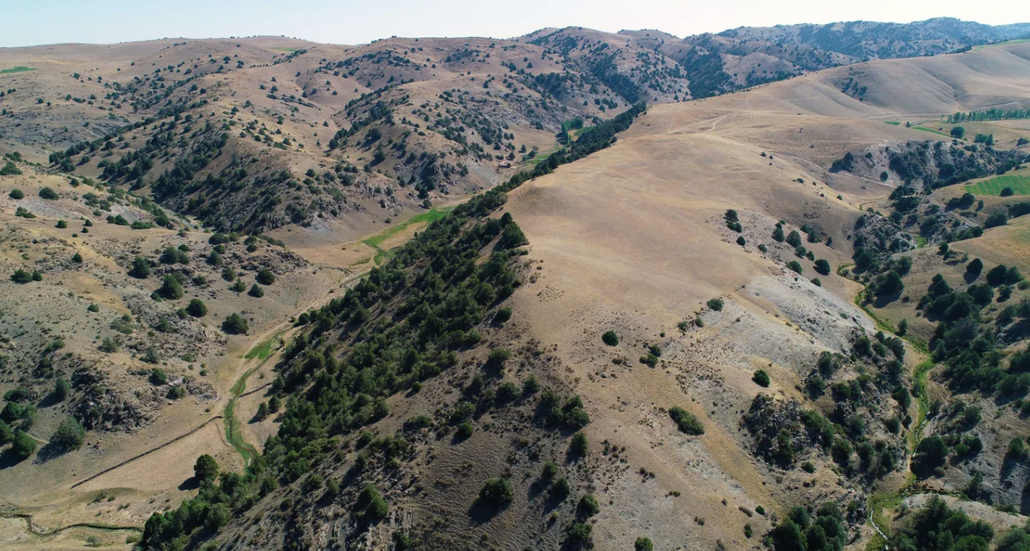 1729978330 843 Orta Asyada 120 Hektarlik Tarihi Sehir Kesfedildi ekran-resmi-2024-10-25-18-39-57.png