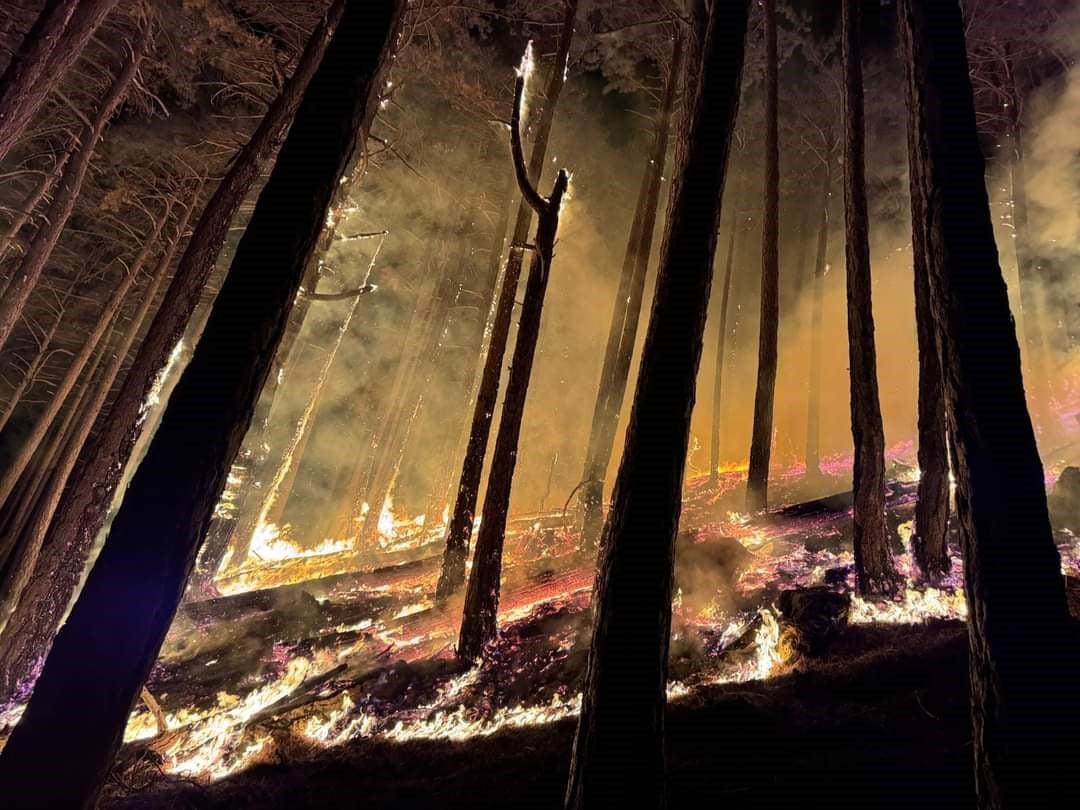 Yangın Görüntüsü