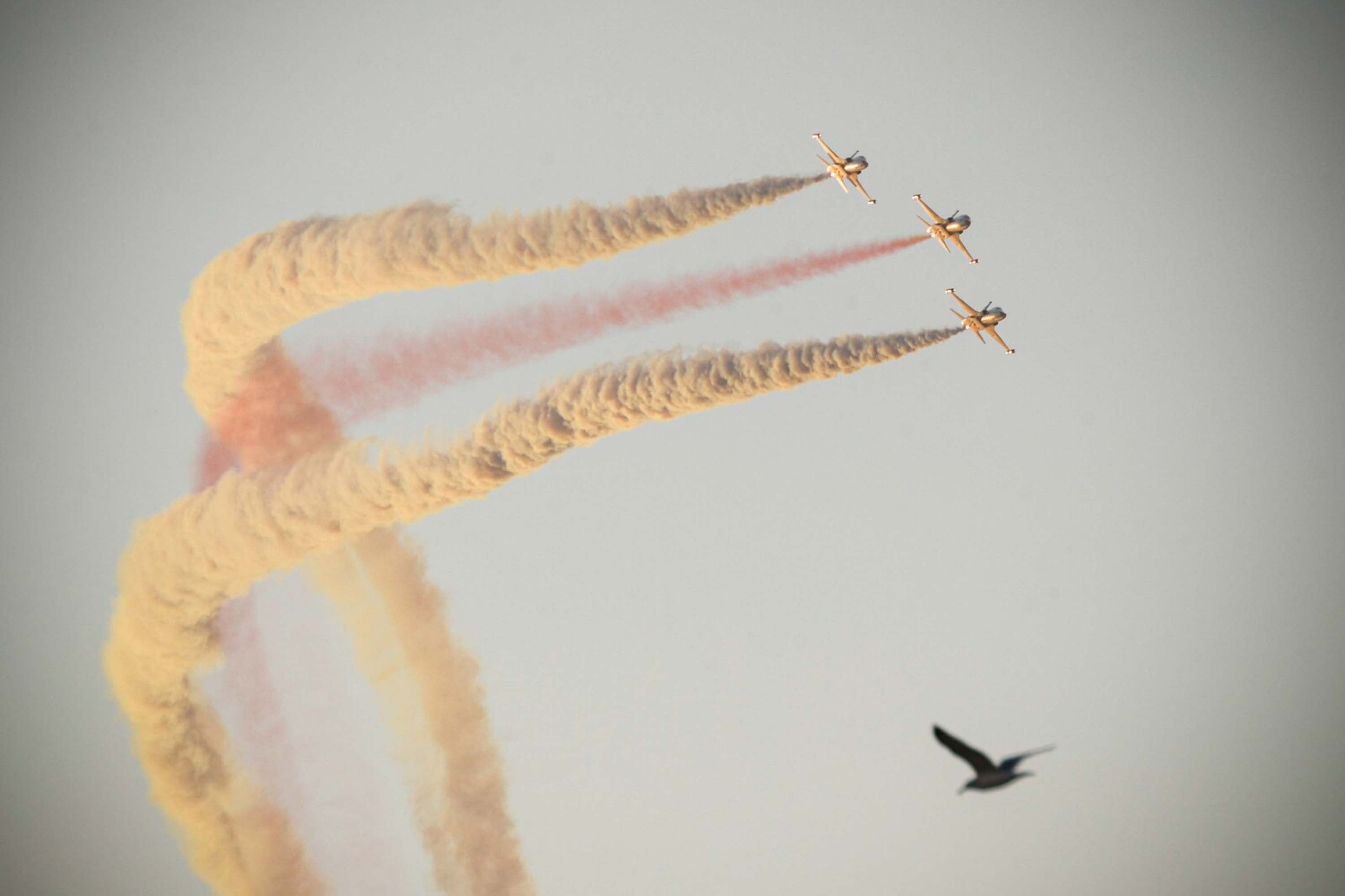 Türk Yıldızları Prova Uçuşu
