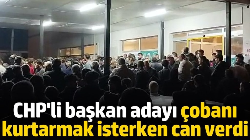 CHP'li başkan adayı çobanı kurtarmak isterken can verdi