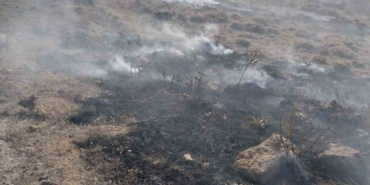 Develi’de anız yangını korkuttu!