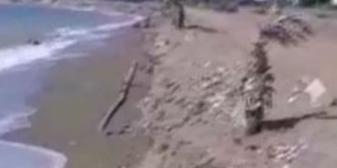 Kıyı erozyonu çocuğu öldürdü