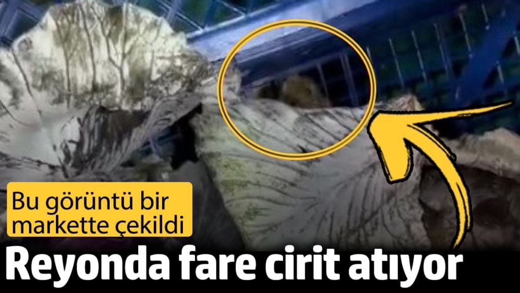 Bu görüntü bir markette çekildi