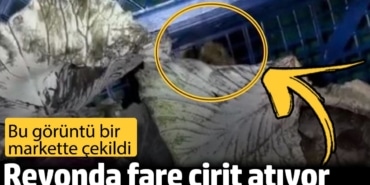 Bu görüntü bir markette çekildi