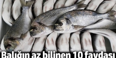 Balıkların Sağlığa Faydaları: 10 Önemli Bilgi