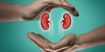 Böbrek Sağlığınız İçin 5 Temel İpucu