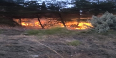 Bursa'da çıkan orman yangını kontrol altına alındı