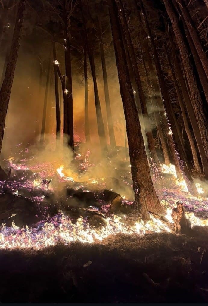 Yangın Görüntüsü