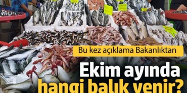 Ekim'de Taze Balık Zamanı: İşte Seçenekler!