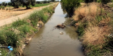 DSİ 17. Bölge Müdürlüğünden ‘siyanür' iddialarına yalanlama