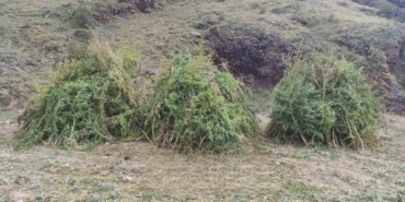 Jandarma’dan uyuşturucu operasyonu