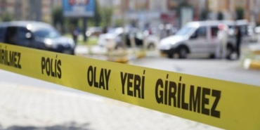 Ordu'da 3 çocuk annesi otomobilin altında kaldı