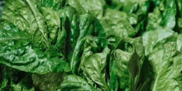 Ispanak: Kalp ve Göz Sağlığının Koruyucusu