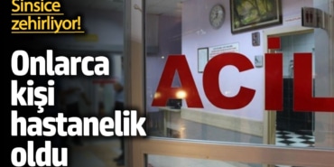 Kastamonu'da Mantar Zehirlenmeleri Artıyor!