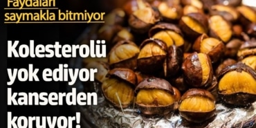 Kestane: Kışın Şifa Kaynağı ve Sağlık Faydaları!