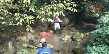 Kestane toplamaya gitti bir daha geri dönmedi