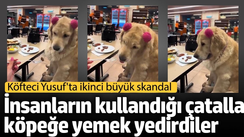 Köfteci Yusuf'ta ikinci büyük skandal. İnsanların kullandığı çatalla köpeğe yemek yedirdiler