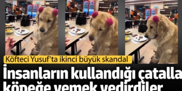 Köfteci Yusuf'ta ikinci büyük skandal. İnsanların kullandığı çatalla köpeğe yemek yedirdiler