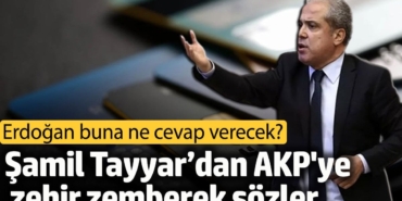 Şamil Tayyar’dan AKP'ye zehir zemberek sözler. Erdoğan buna ne cevap verecek?