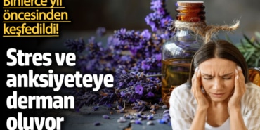 Lavantanın Rahatlatıcı Etkisi: Stres ve Ağrıya Çözüm!