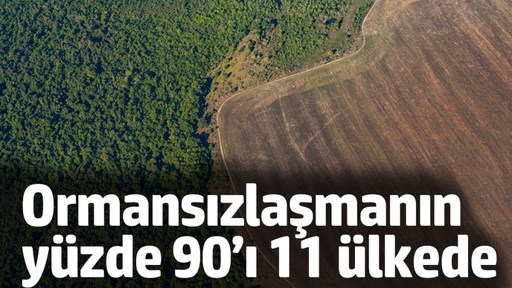 Ormansızlaşmanın yüzde 90’ı 11 ülkede