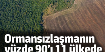 Ormansızlaşmanın yüzde 90’ı 11 ülkede