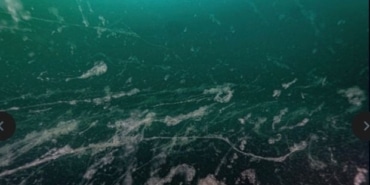 Marmara Denizi'nde Müsilaj Erozyonu Tehlikesi!