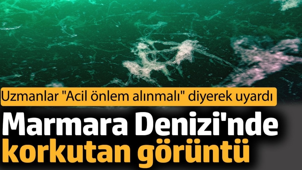 Marmara Denizi'nde korkutan görüntü. Uzmanlar 