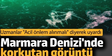 Marmara Denizi'nde korkutan görüntü. Uzmanlar "acil önlem alınmalı" diyerek uyardı