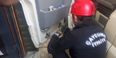 Minibüste yılan alarmı