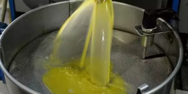 Sahte Zeytinyağı Sağlığınızı Tehdit Ediyor!