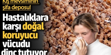 Salep Üretiminin Yükselişi: 17 Yeni Tür Ekimde