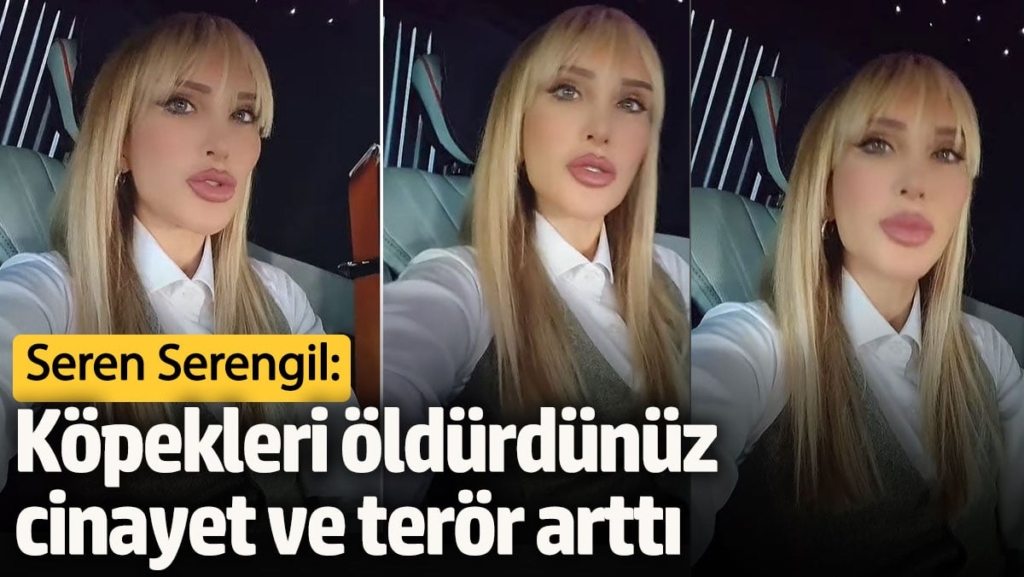 Seren Serengil’den skandal açıklamalar! Köpekleri öldürdünüz cinayet ve terör arttı